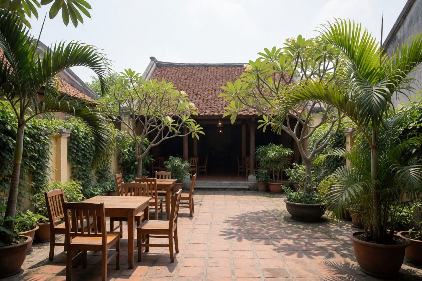 Sân quán cà phê sân vườn lát gạch với bàn ghế gỗ, chậu cau, cây sứ, tường thấp phủ dây leo và mái hiên phía sau