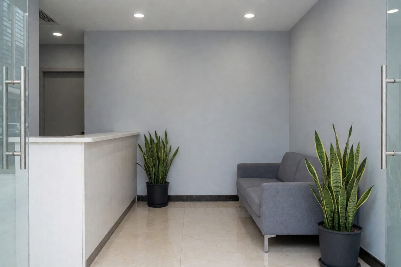Maliit na lobby ng opisina na may kulay-abong dingding, puting reception counter, kulay-abong sofa at dalawang snake plant