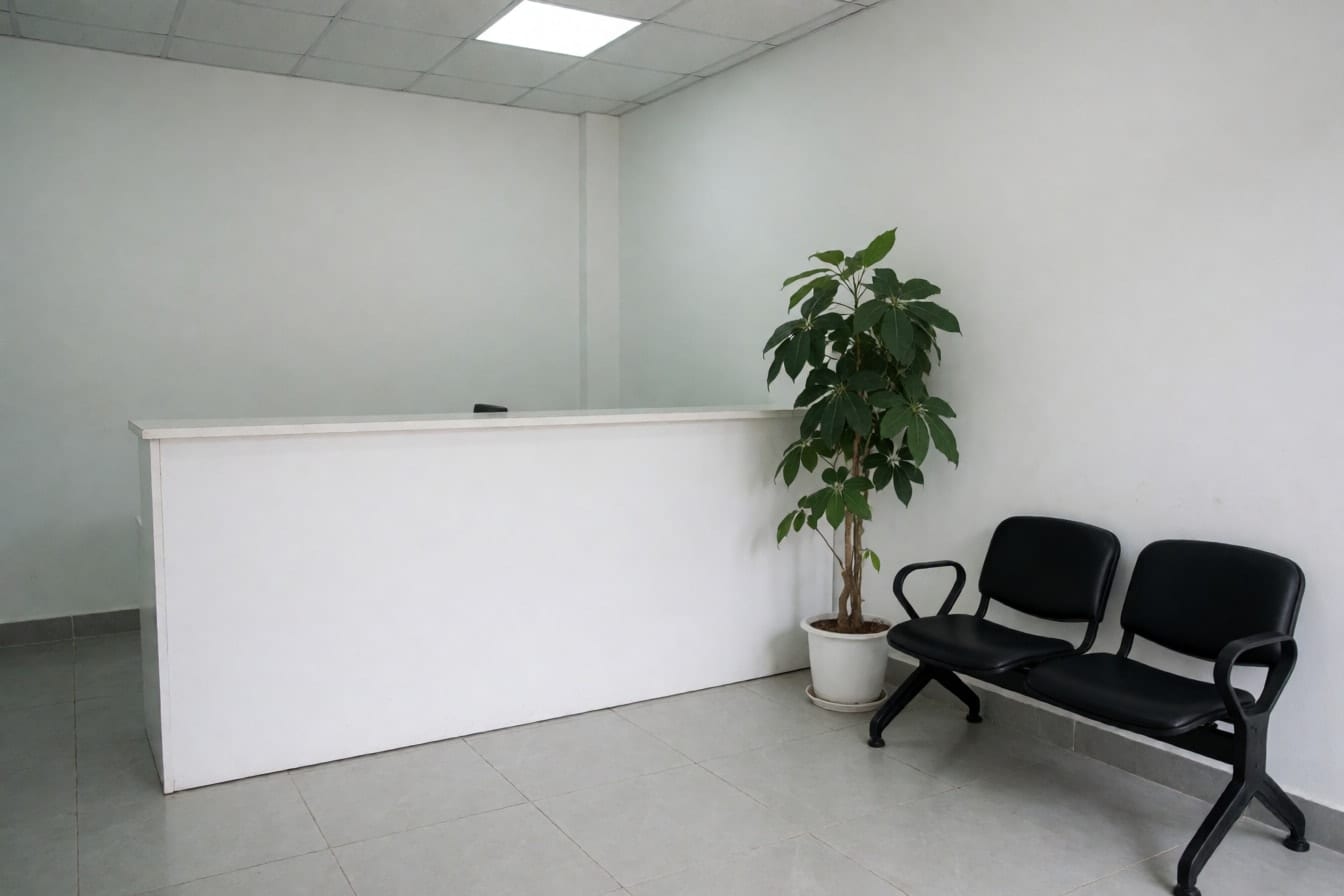 Khu lễ tân văn phòng nhỏ với quầy trắng, sàn gạch xám nhạt, hai ghế chờ đen, chậu cây cao và tường trắng trơn